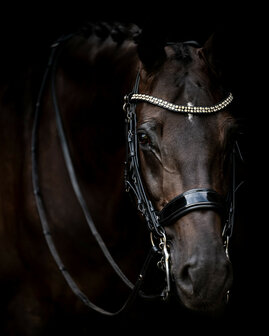 PresTeq hoofdstel stang &amp; trens FayPerform Shine