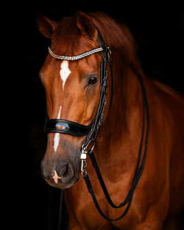 PresTeq hoofdstel stang &amp; trens FayPerform Shine