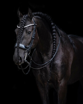 PresTeq hoofdstel stang &amp; trens FayPerform Shine