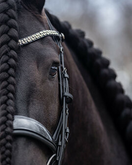 PresTeq hoofdstel stang &amp; trens FayPerform Shine