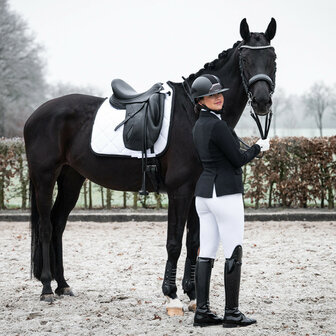 PresTeq hoofdstel stang &amp; trens FayPerform Shine