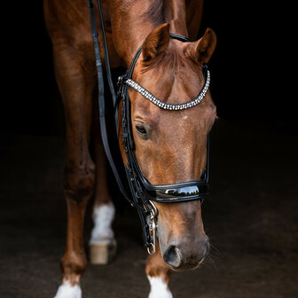 PresTeq hoofdstel stang &amp; trens FayPerform Shine