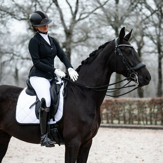 PresTeq hoofdstel stang &amp; trens FayPerform Shine