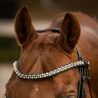 PresTeq hoofdstel stang &amp; trens FayPerform Shine