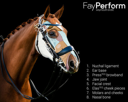 PresTeq hoofdstel stang &amp; trens FayPerform