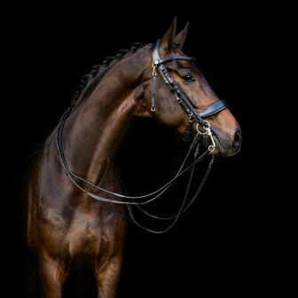 PresTeq hoofdstel stang &amp; trens FayPerform