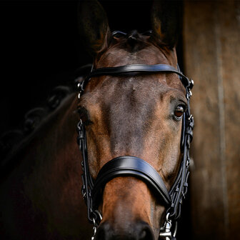 PresTeq hoofdstel stang &amp; trens FayPerform