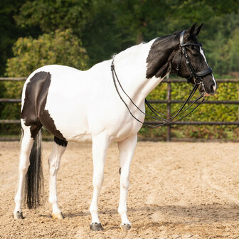 PresTeq hoofdstel stang &amp; trens FayPerform