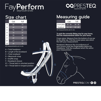 PresTeq hoofdstel stang &amp; trens FayPerform