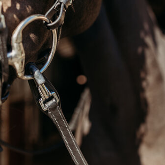 PresTeq teugels FayRein met clip