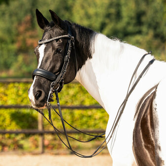PresTeq frontriem SparklingStar