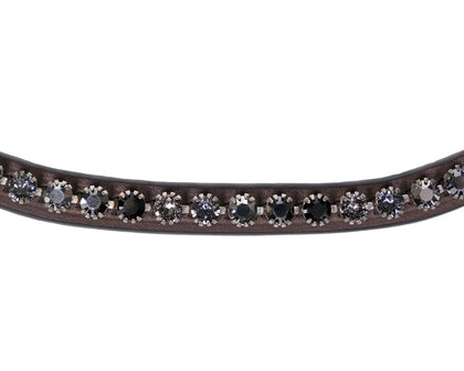 PresTeq frontriem ShineBright