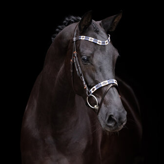 HV Polo hoofdstel Chaya