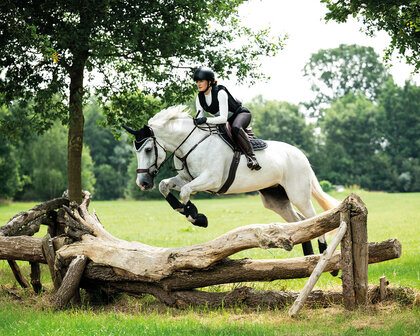 QHP cap Dallas-XC