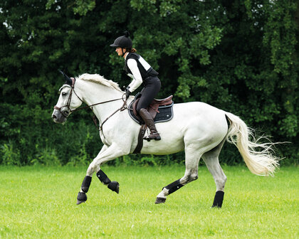 QHP bodyprotector cover Glitter