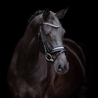 HV Polo hoofdstel Diana
