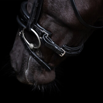 HV Polo hoofdstel Diana