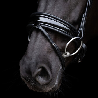 HV Polo hoofdstel Diana