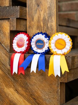 LeMieux Hobby Horse rozetten multipack