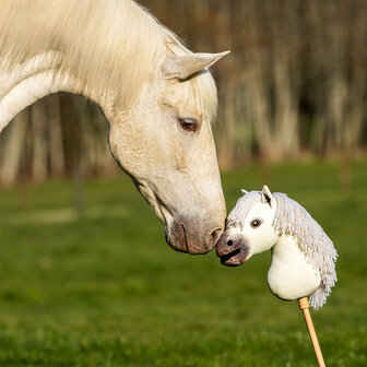 Nalanta Hobby Horse Antares