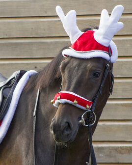 QHP rendiermuts paard Kerst