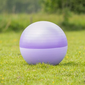 QHP paardenvoetbal two-tone