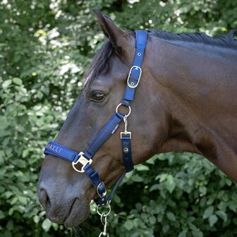 Harry's Horse Halsterset Denici Cavalli Purple Passion Satin