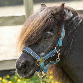 Harry&rsquo;s Horse Halsterset Crystal