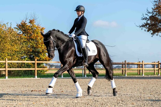 HKM zadeldek Competition