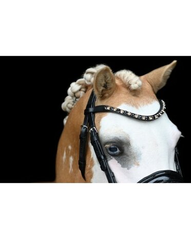 HB Showtime hoofdstel Special zwart/goud