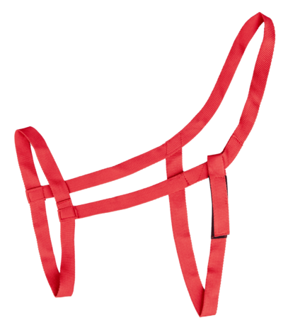 Waldhausen veiligheids weide halster rood