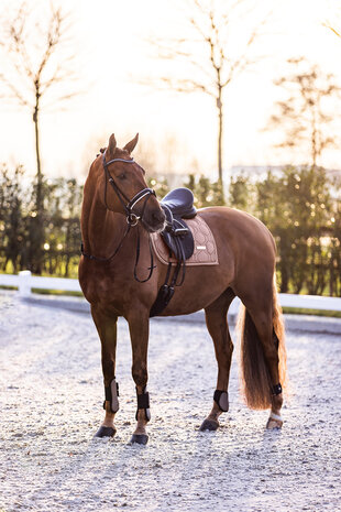 Imperial Riding peesbeschermers Lovely cappuccino