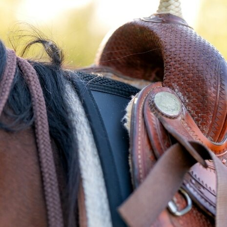 ThinLine Western perfect fit pad