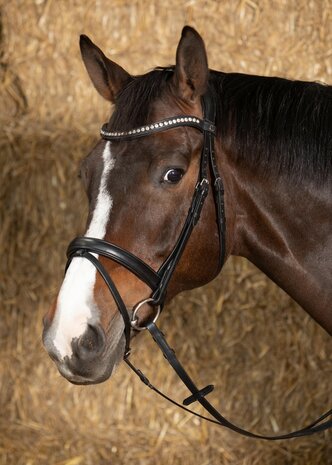 Harry's Horse hoofdstel Nero Soft zwart/zilver