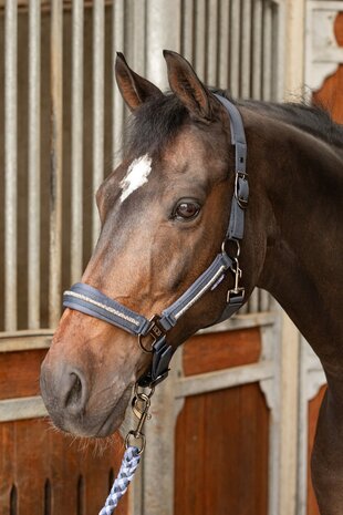 Harry's Horse halster set Valli asfalt