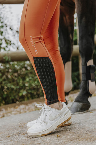 EquiTheme rijlegging Brigitte bordeaux