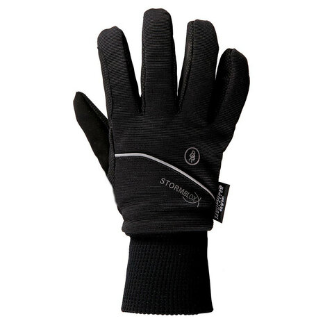 BR waterdichte winter handschoenen StormBloxx