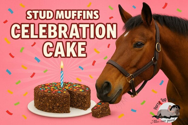 Stud Muffins celebration cake 600 gram