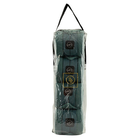 BR CLX bandages sea spine