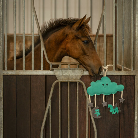QHP paardenspeelgoed Novy groen