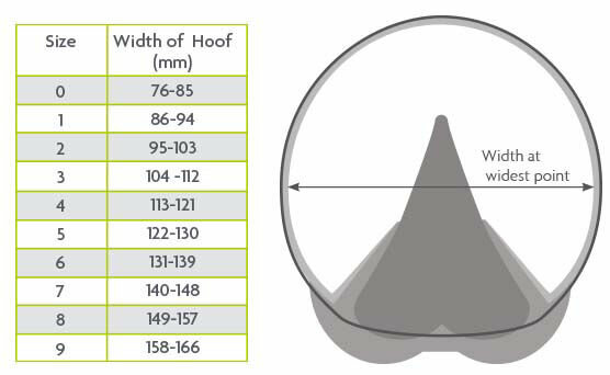 Woofwear medical hoof boot