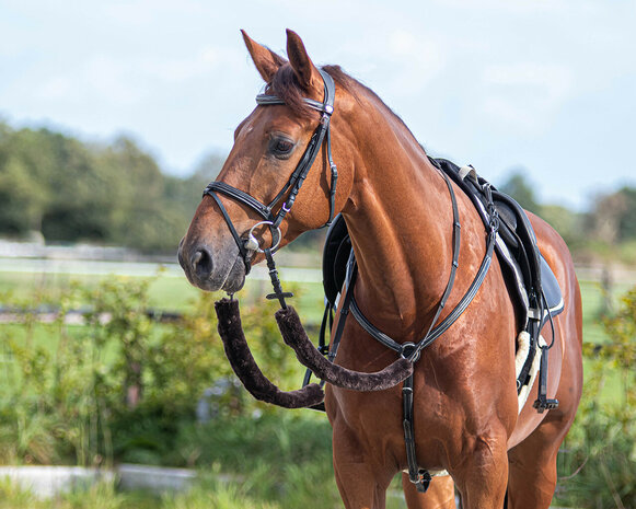 QHP teugel bontjes bruin