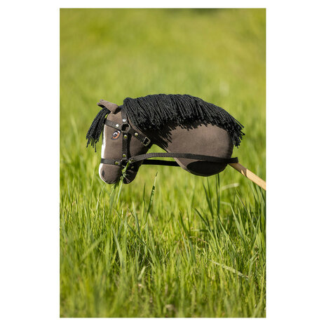 BR Hobby Horse Prince