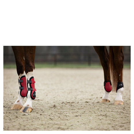 BR XO2 peesbeschermers crimson