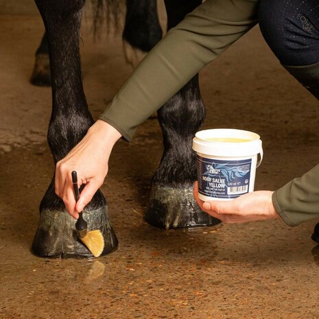 Harry's Horse hoefvet 500ml geel