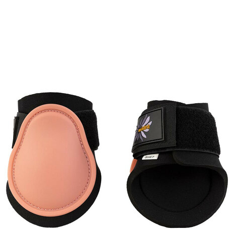 BR Mini Horse strijklappen