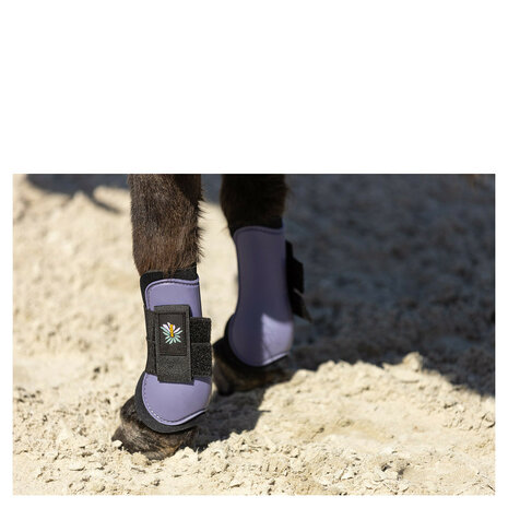 BR Mini Horse peesbeschermers cadet