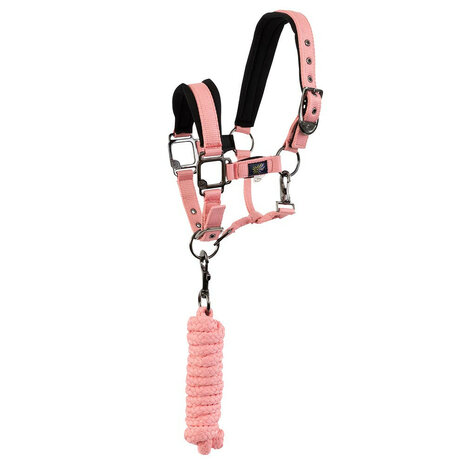 BR Mini Horse halster