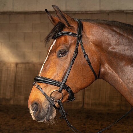 Harry's Horse hoofdstel Soft Carbon Black Edition