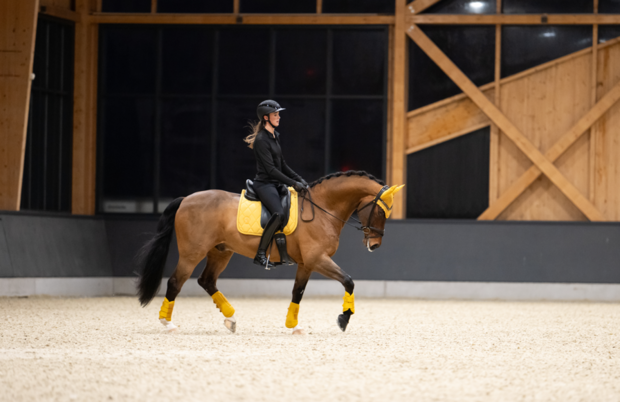 Eskadron zadeldek Pro Soft Platinum 2025 golden yellow